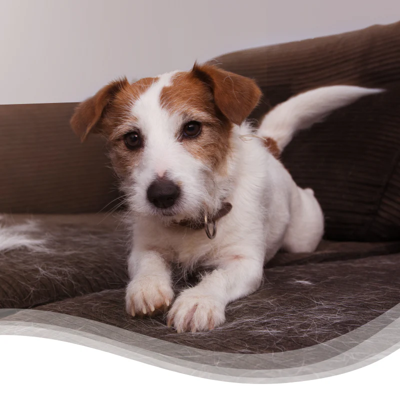 a girl jumping in the air with her hand up